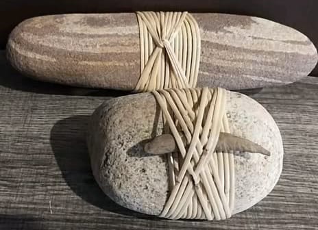 You Cannot Heal by Harming Another Life