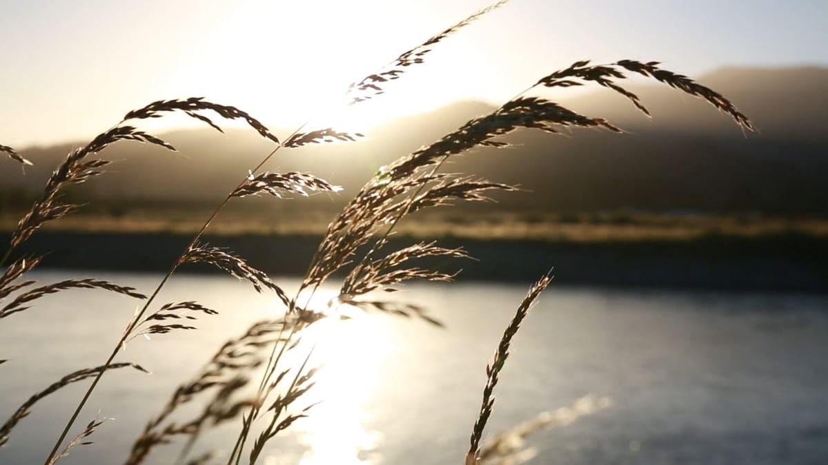 CONTEMPLATION ON SILENCE