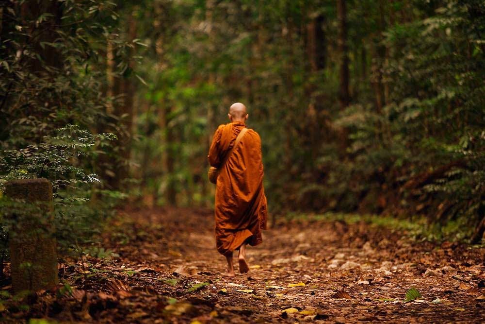 THE RIPPLE EFFECT XLIV