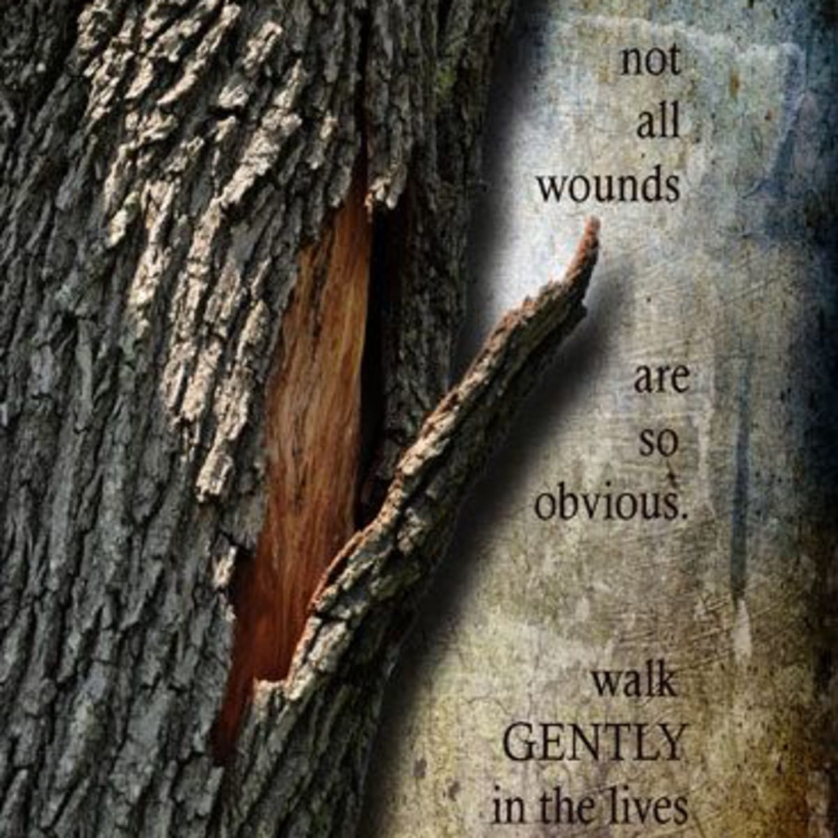 SETTING OURSELVES FREE