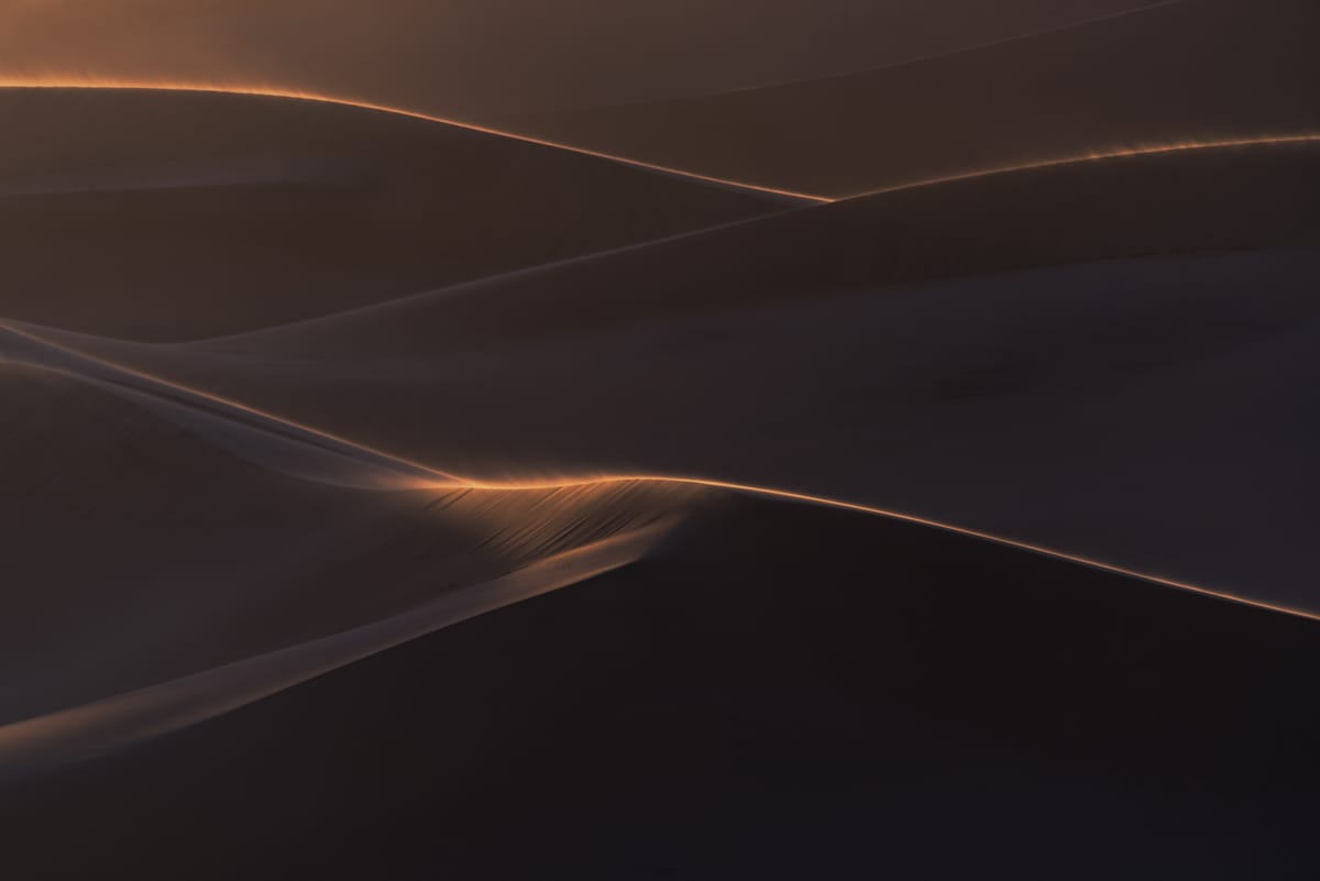 CONTEMPLATION ON LONELINESS