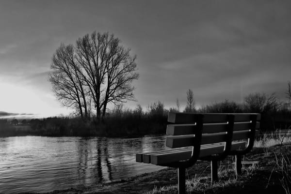 When the Heart Outgrows What It Once Held Close.