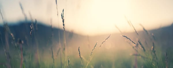 SLEEP TIME MEDITATION