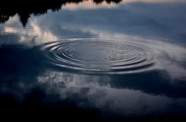 INSIGHTS AND PARABLES