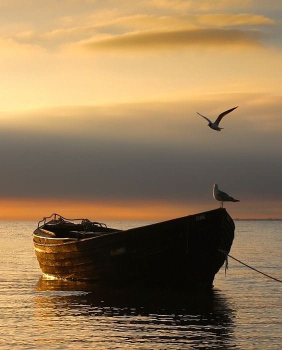 A FORGIVENESS MEDITATION