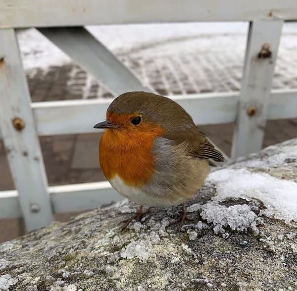 INSIGHTS AND PARABLES