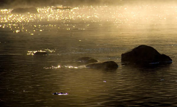 GUIDED MEDITATION FOR WORLD PEACE