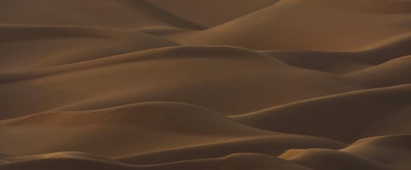 A MOMENT OF HAPPINESS