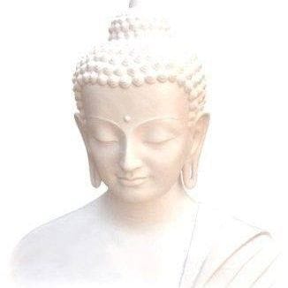 Embracing the Path to Love and Peace